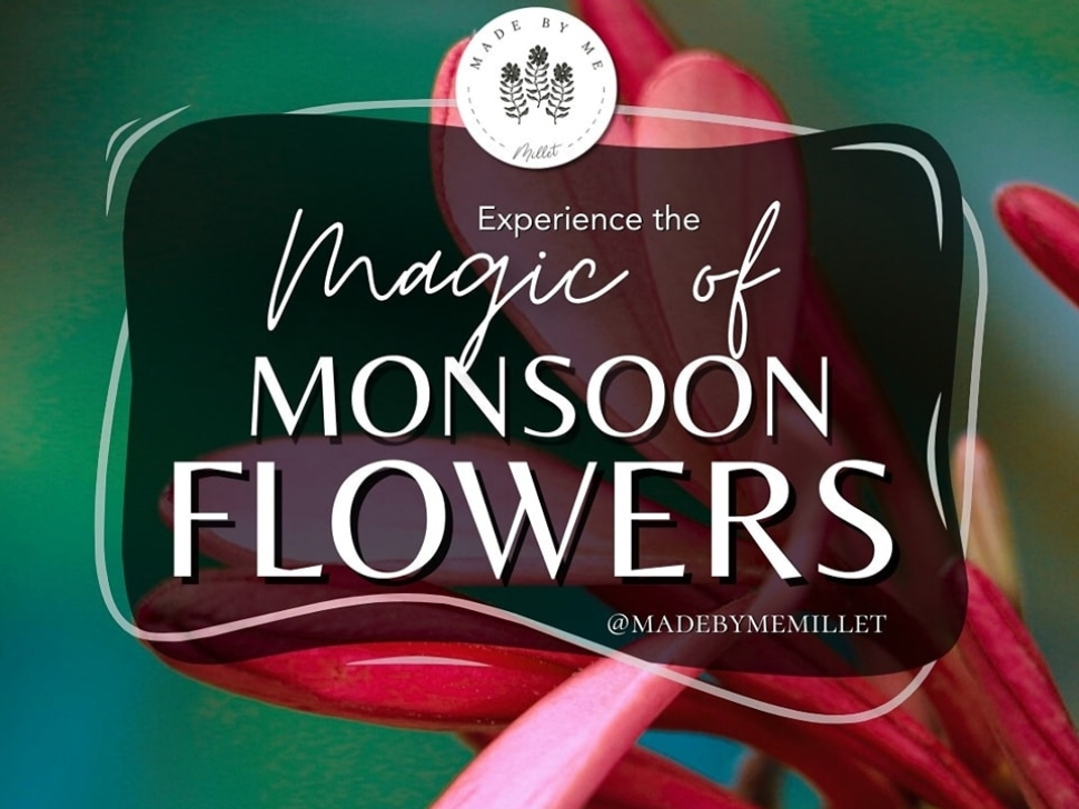 Monsoon Flowers